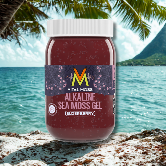 Alkaline Sea Moss Gel Elderberry
