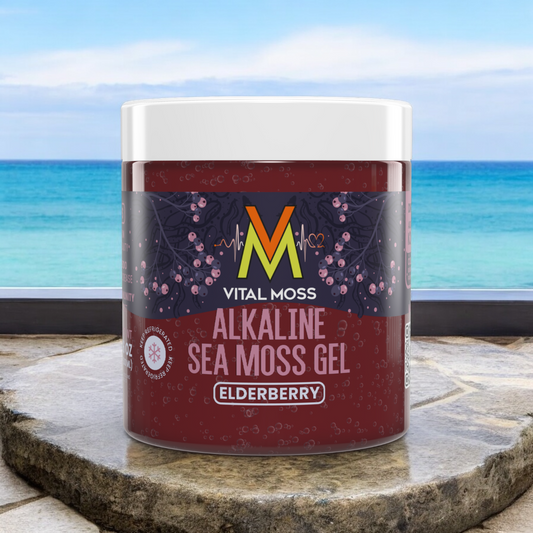 Alkaline Sea Moss Gel Elderberry