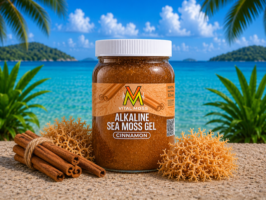 Alkaline Sea Moss Gel Cinnamon