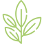 icon_alt