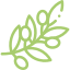 icon_alt